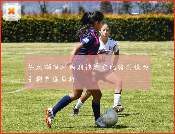 热刺瞄准托纳利德泽尔比将其视为引援首选目标