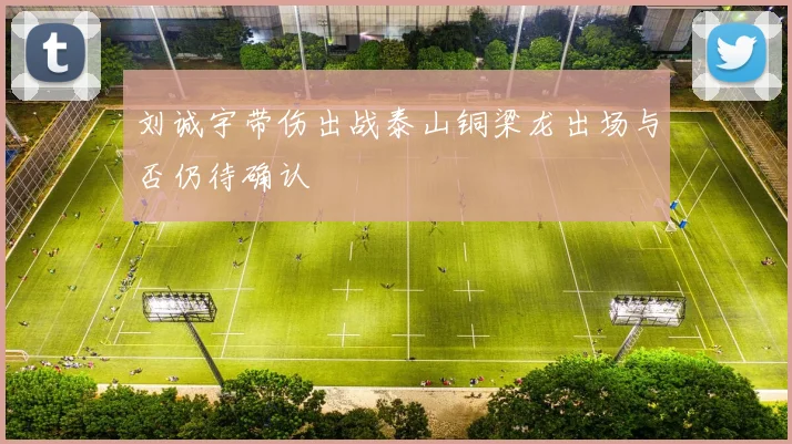 刘诚宇带伤出战泰山铜梁龙出场与否仍待确认
